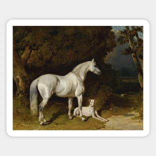 Gray Stallion And Greyhound (Lying By The Edge Of The Lane) by Alfred de Dreux Magnet